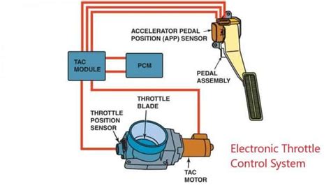 Electronic Control Throttle System Electronic Control Throttle System