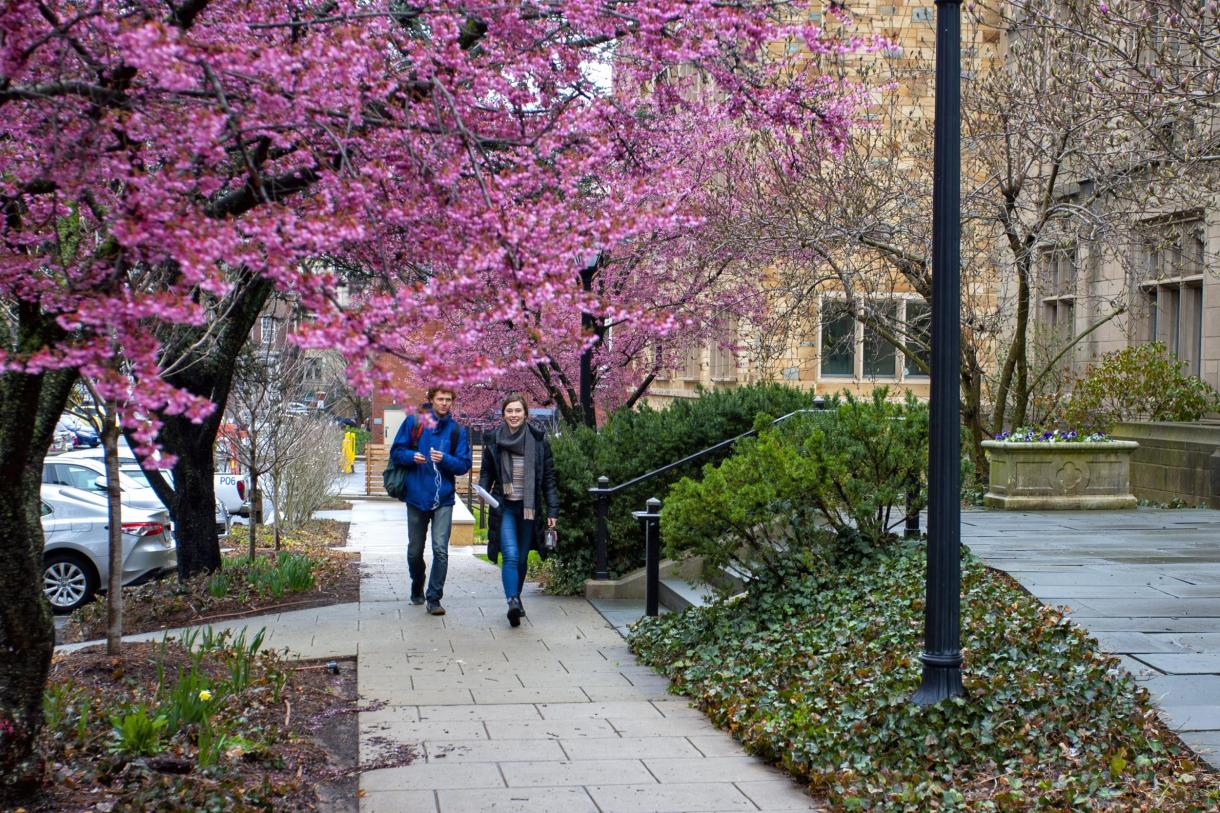 Form Student Yale