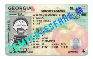 Georgia Dl Check Georgia Dl Check