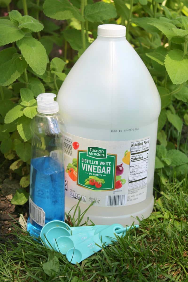 Grass Killer Recipe