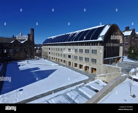 Hall Kroon University Yale