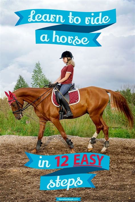 Horseback Riding Lessons: Learn To Ride In 5 Easy Steps Horseback Riding Lessons: Learn To Ride In 5 Easy Steps