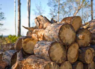How Many Btu In Cord Wood? Heating Solutions