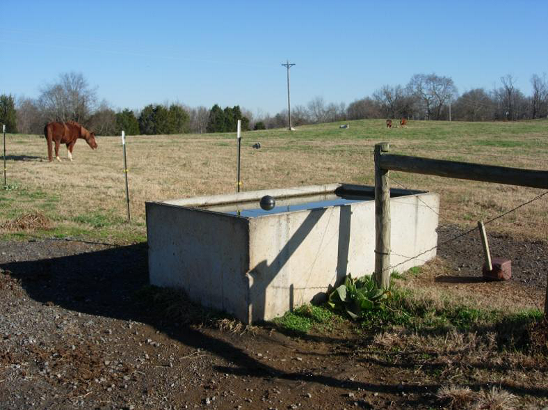 How Often Clean Equine Water Troughs? Maintenance Tips
