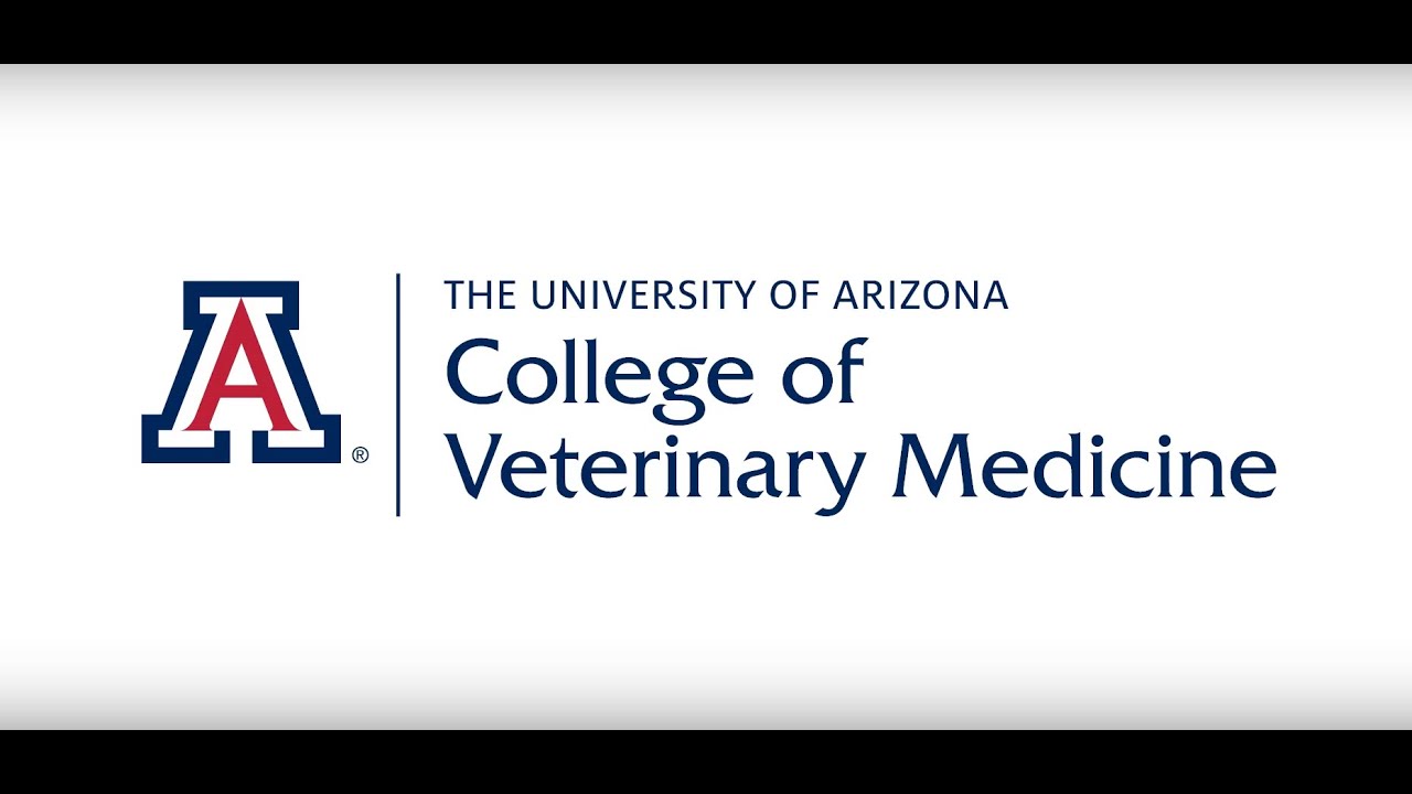 How To Get Into Vet Colleges In Arizona? Admission Tips