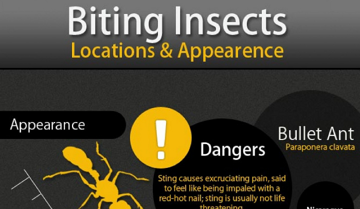 How To Prevent Noseeum Bites