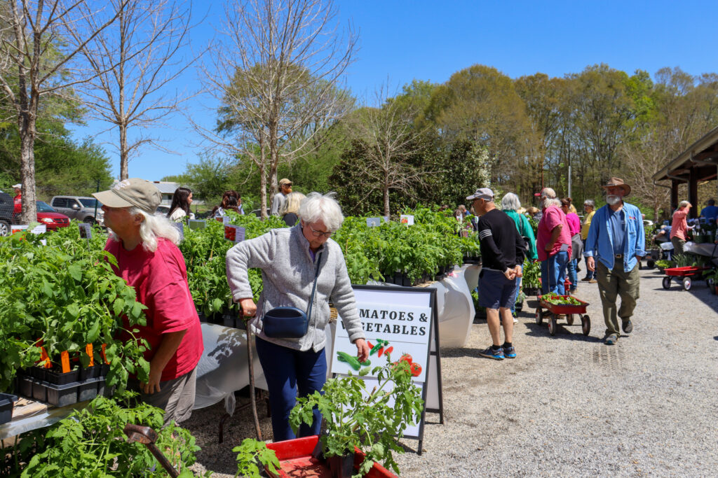 How To Use Uga Planting Calendar? Success Tips