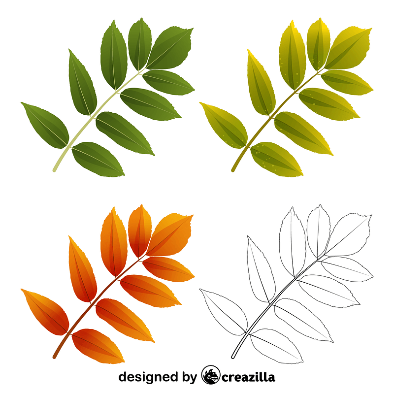 Images Of Ash Tree Leaves