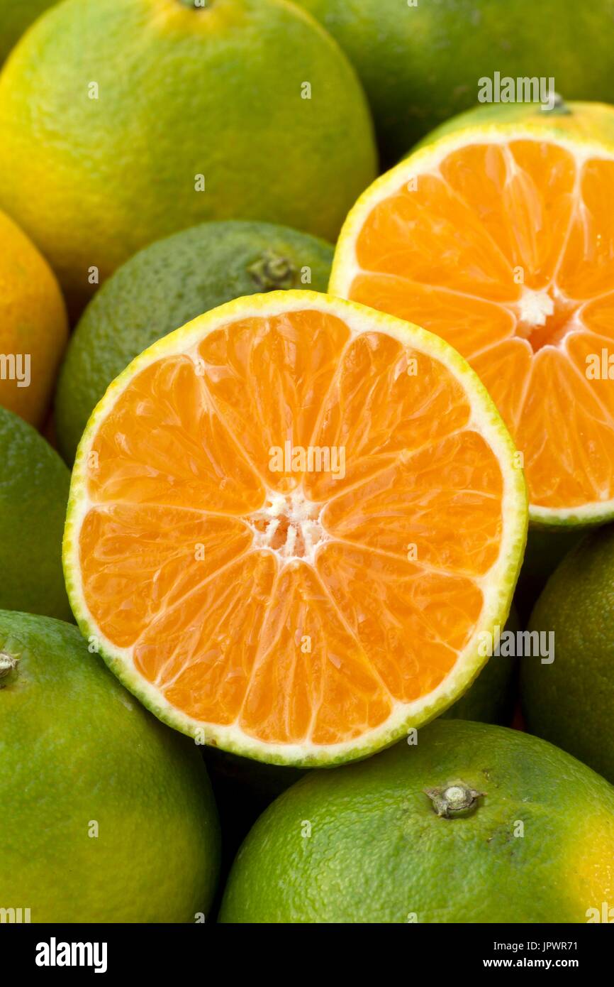 Immature Fruit Examples