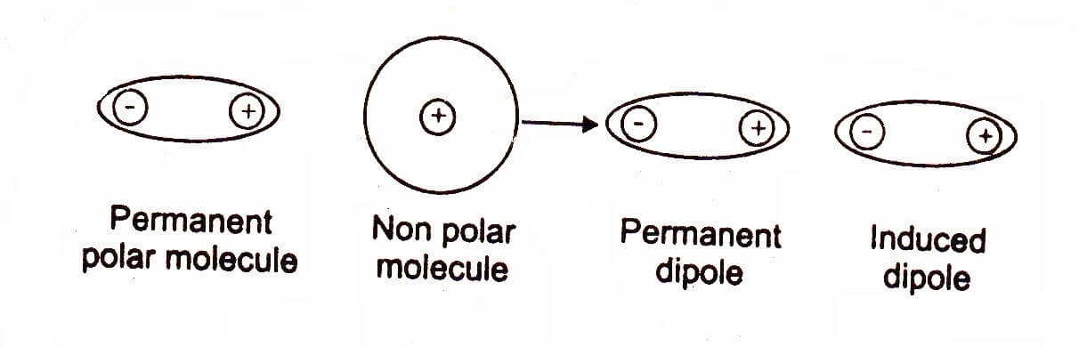 Induced Dipole Forces Explained