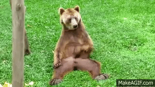 Jerking Off To Porn Gif