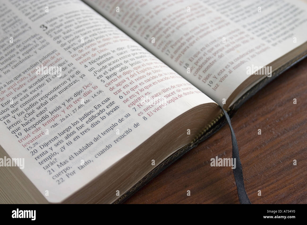 John In Spanish Bible