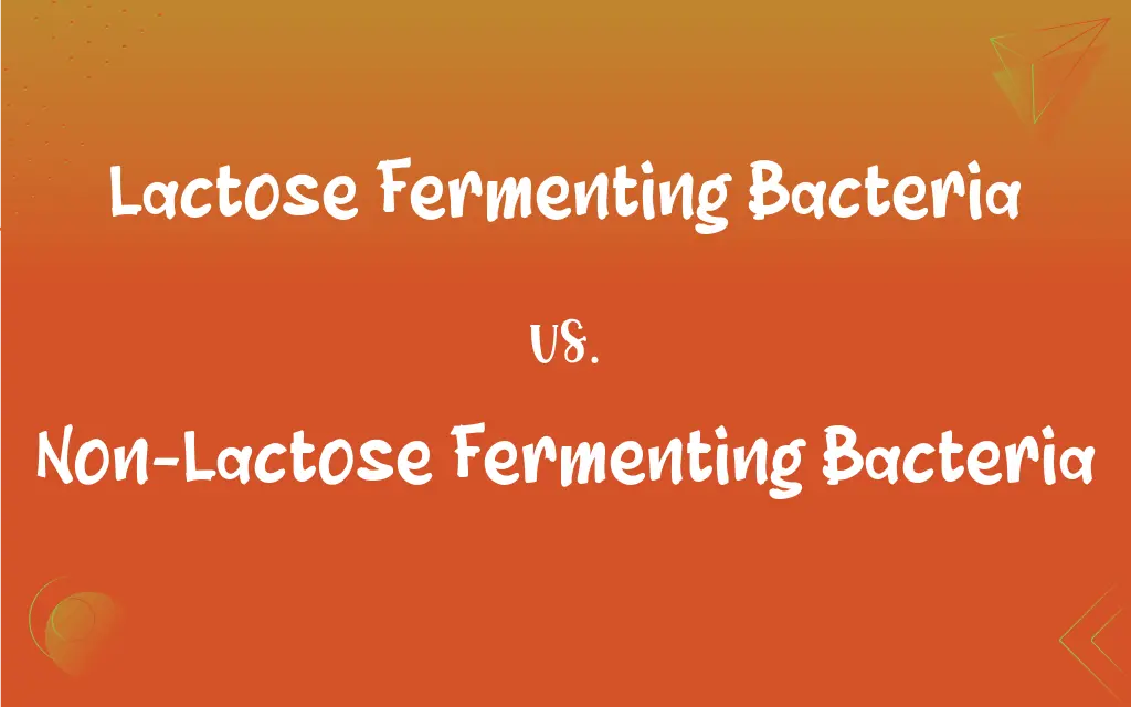 Lactose Fermenting Bacteria: Key Facts Revealed Lactose Fermenting Bacteria: Key Facts Revealed