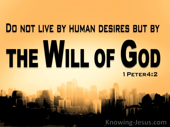 Licentiousness In Bible: Understand Its Consequences