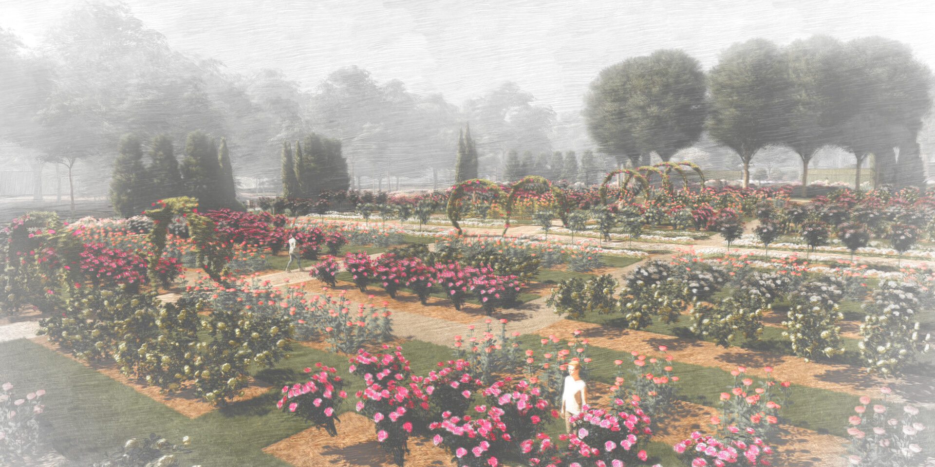 Lyndale Park Rose Garden Photos