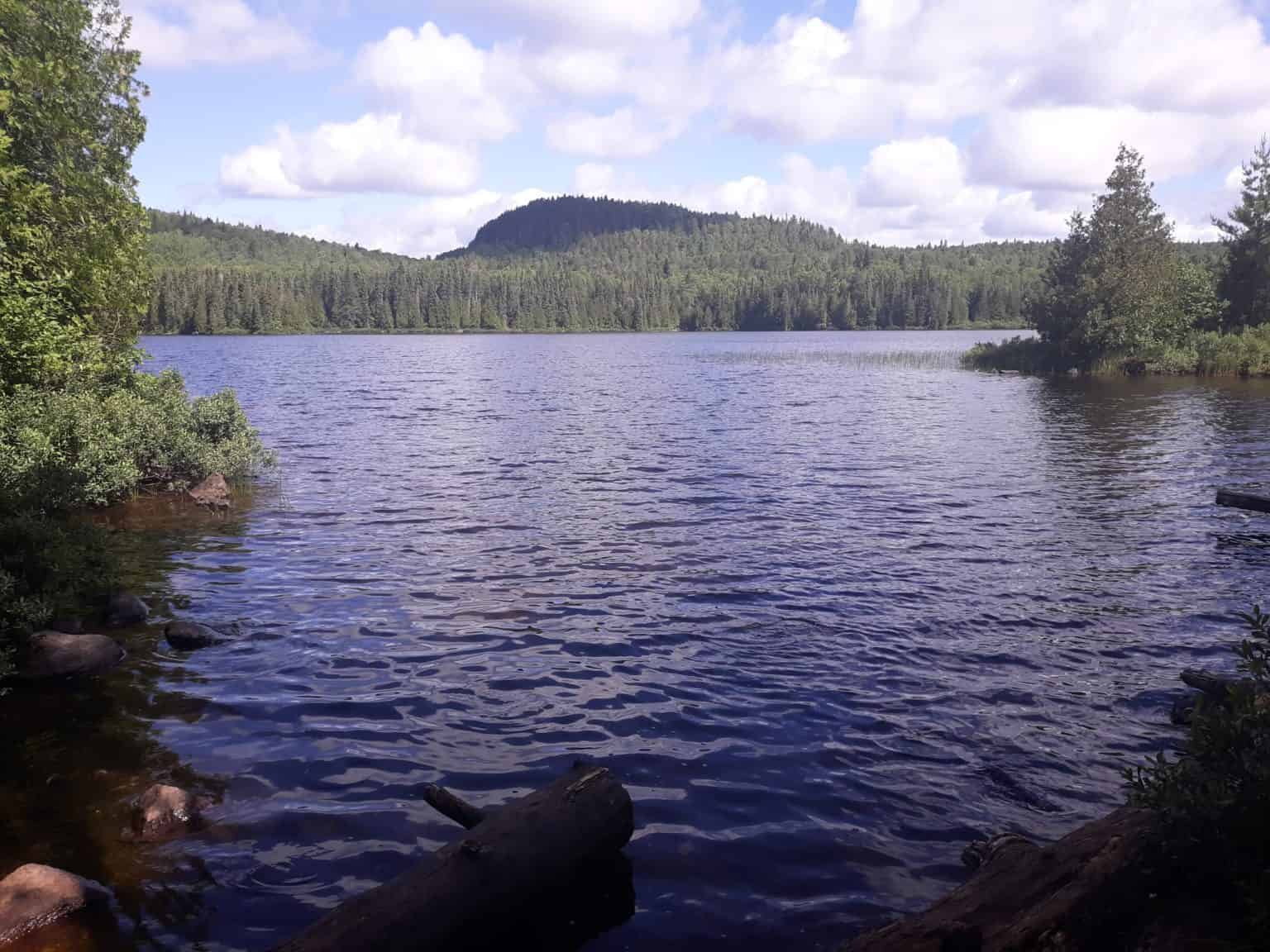 Minnesota Peak Guide: Explore Highest Point