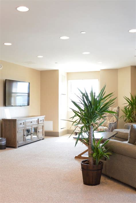 New Haven Luxury: Best Rooms Guaranteed
