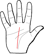 Palm Reading For Career Line
