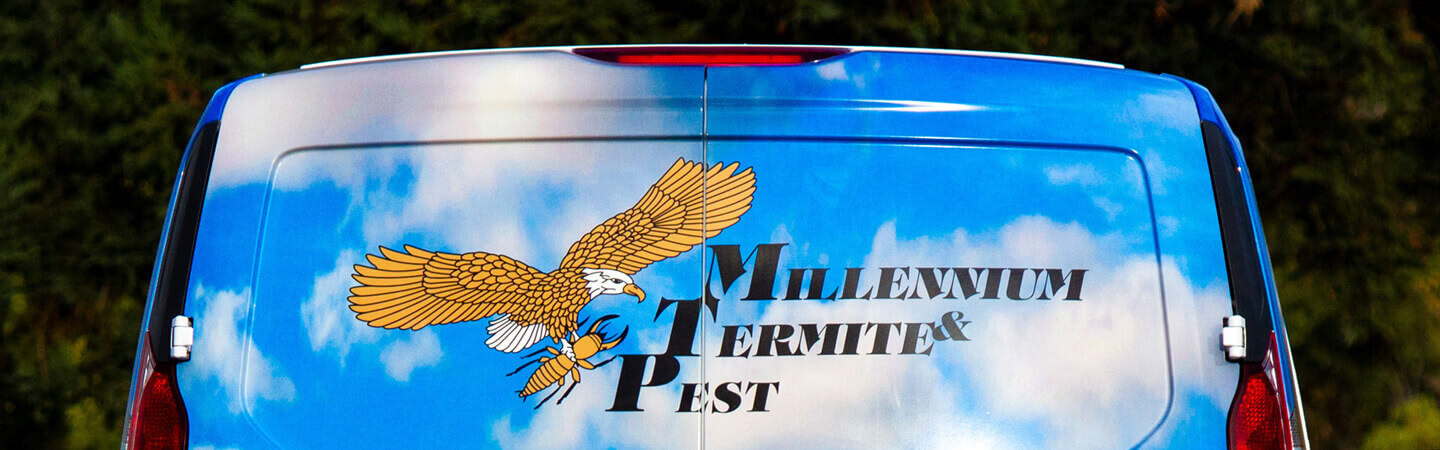 Pest Control West Sacramento Pest Control West Sacramento