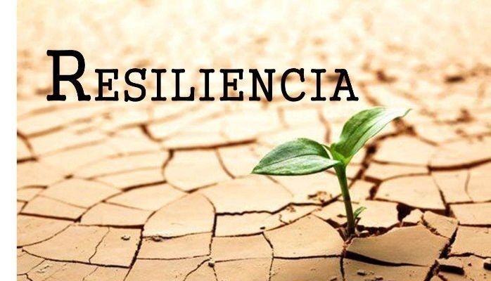 Que Significa Resiliente En La Biblia