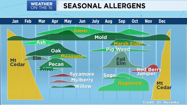 Sacramento Allergy Count: Your Local Forecast Today
