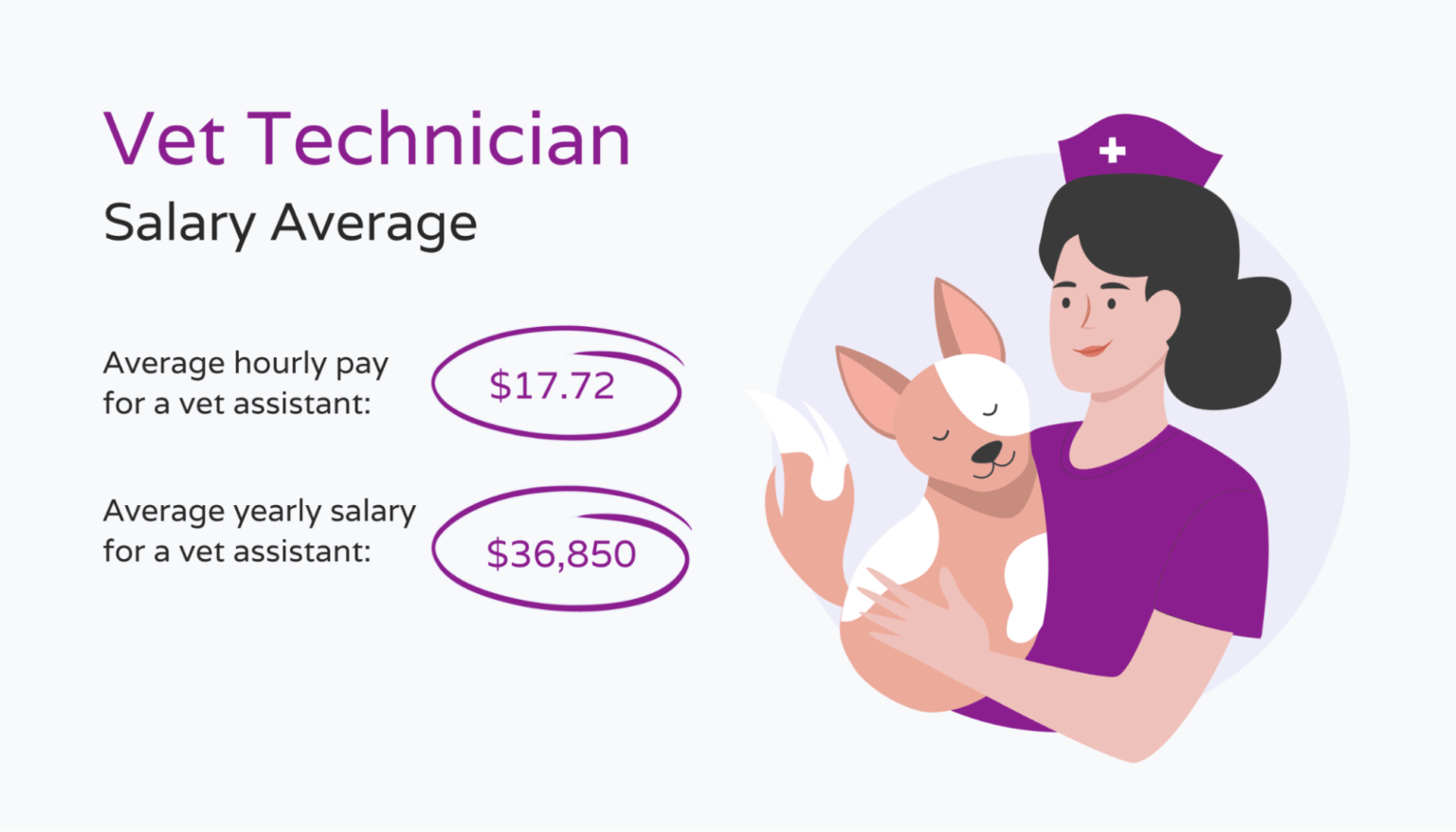 Salary For A Vet Technician Salary For A Vet Technician
