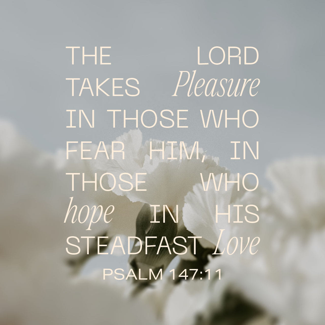Salmo 147:11 Bible Insight