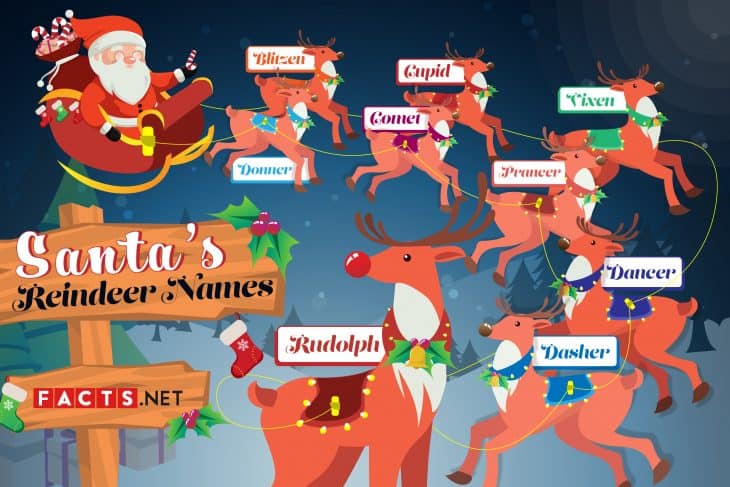 Santa's Reindeer Genders: Learn Their Secrets
