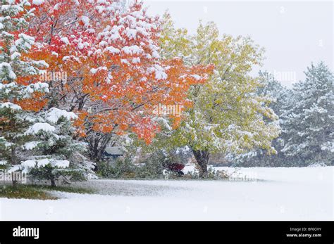 Snowfall In October