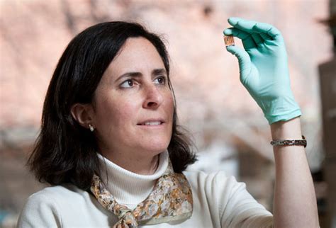 Stacey F Bent Research: Expert Insights Revealed