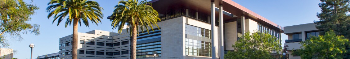 Stanford Anesthesia Summer Institute