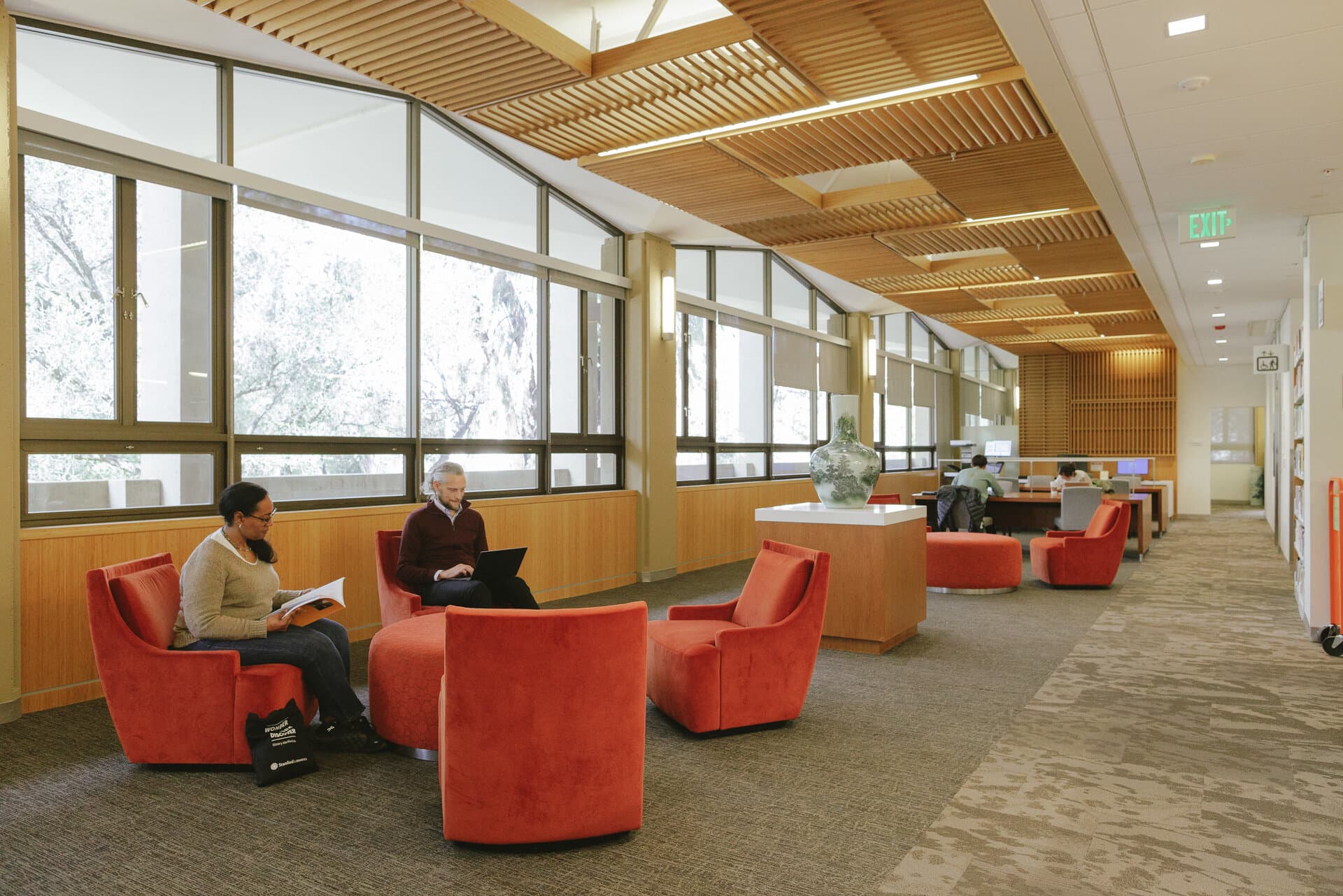 Stanford Supplements: Expert Guidance