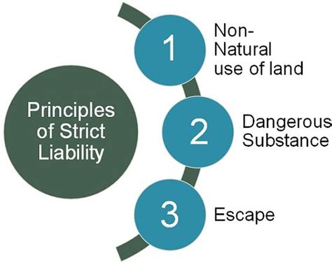 Strict Liability: Easy Guide To 3 Main Types Strict Liability: Easy Guide To 3 Main Types