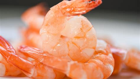 Temp Of Shrimp Temp Of Shrimp
