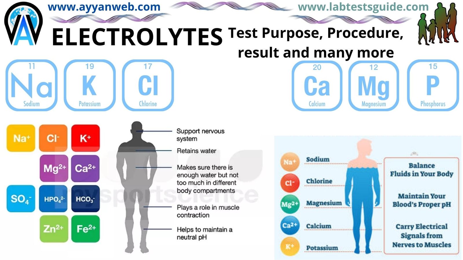 Test Electrolytes At Home