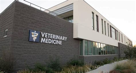 Top Vet Schools Usa