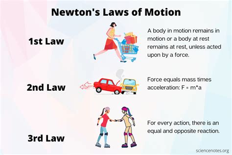 Understanding Newton Amp 39 S Laws The Fundamentals Of Classical Course Hero Understanding Newton Amp 39 S Laws The Fundamentals Of Classical Course Hero