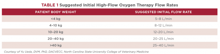 Use Of High Flow Oxygen Therapy In Dogs Use Of High Flow Oxygen Therapy In Dogs