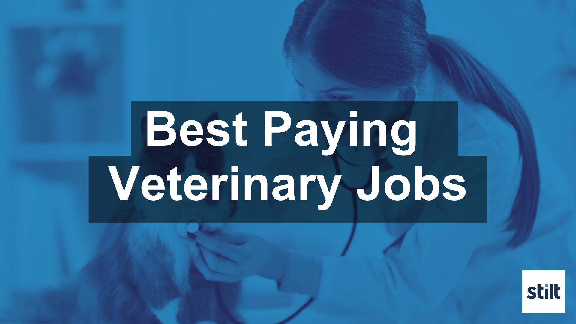 Veterinary Specialties Guide: Top Paying Jobs
