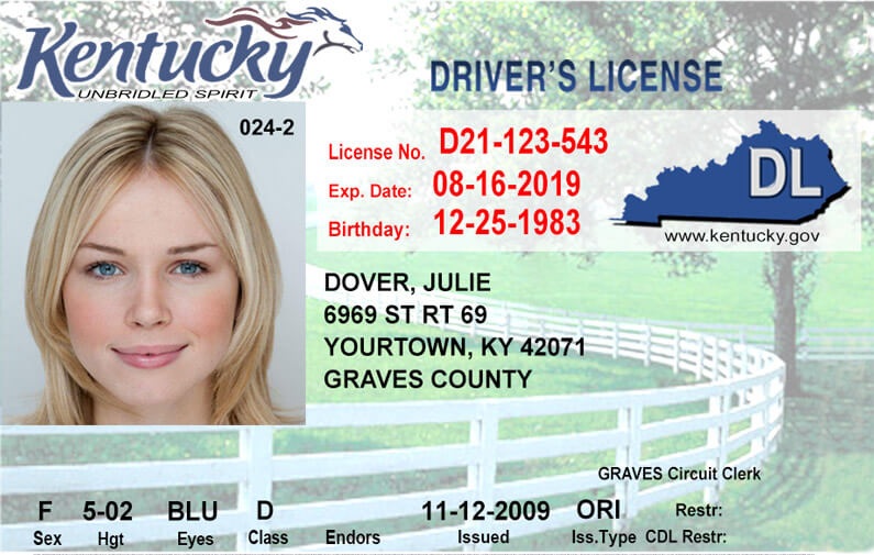 Washington Driver's License: Check Status Online