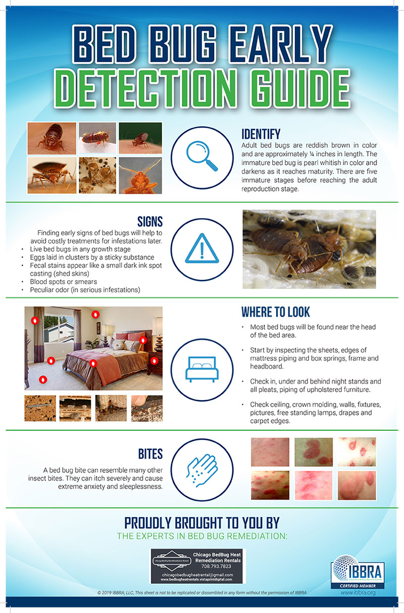 What Are Brain Cancer Signs In Dogs? Early Detection Guide