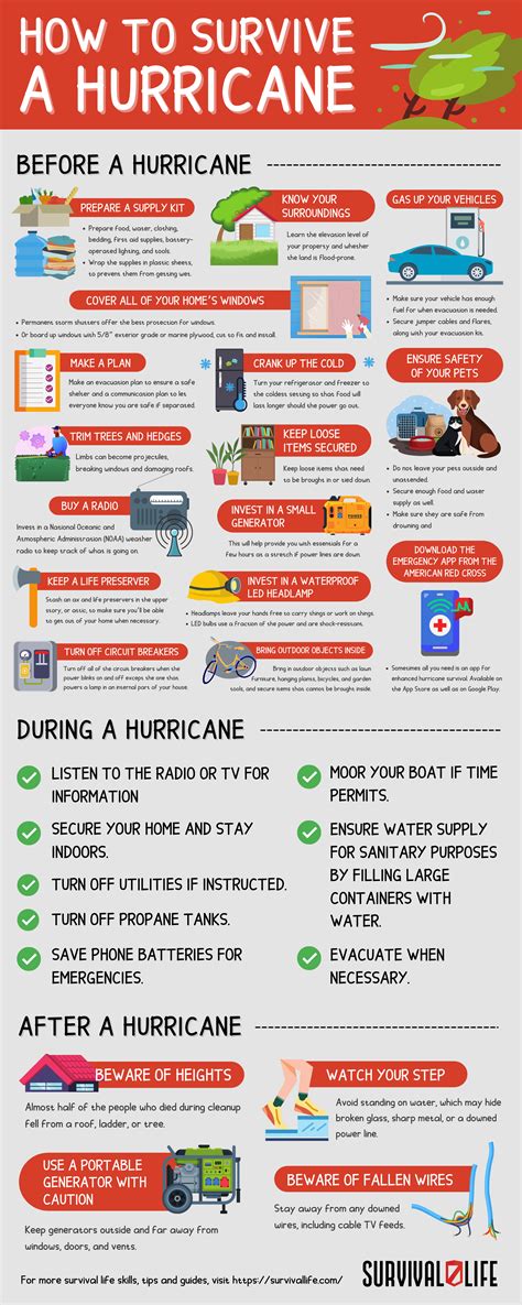 What Happens During Hurricane Milton? Gainesville Survival Tips