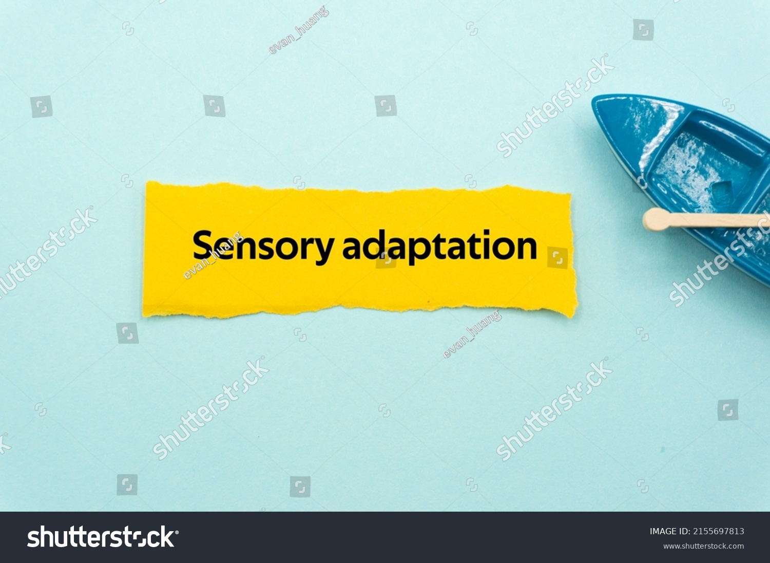 What Is Sensory Adaptation