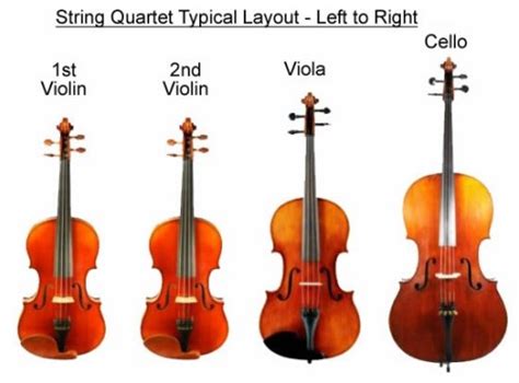 What Is The Instrumentation Of A String Quartet