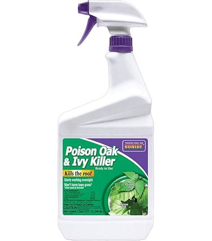 What Kills English Ivy? Effective Solutions