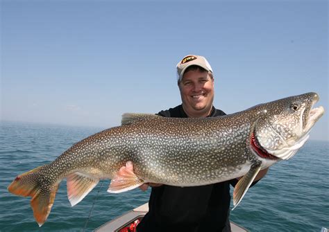 What Lures Work Best At Turquoise Lake? Catch More Fish