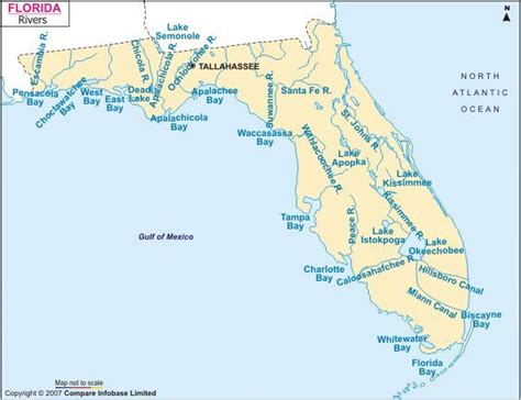What Makes Florida's Largest River So Unique? Explore Now