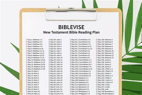 What's A Simple Bible Reading Plan For New Testament?