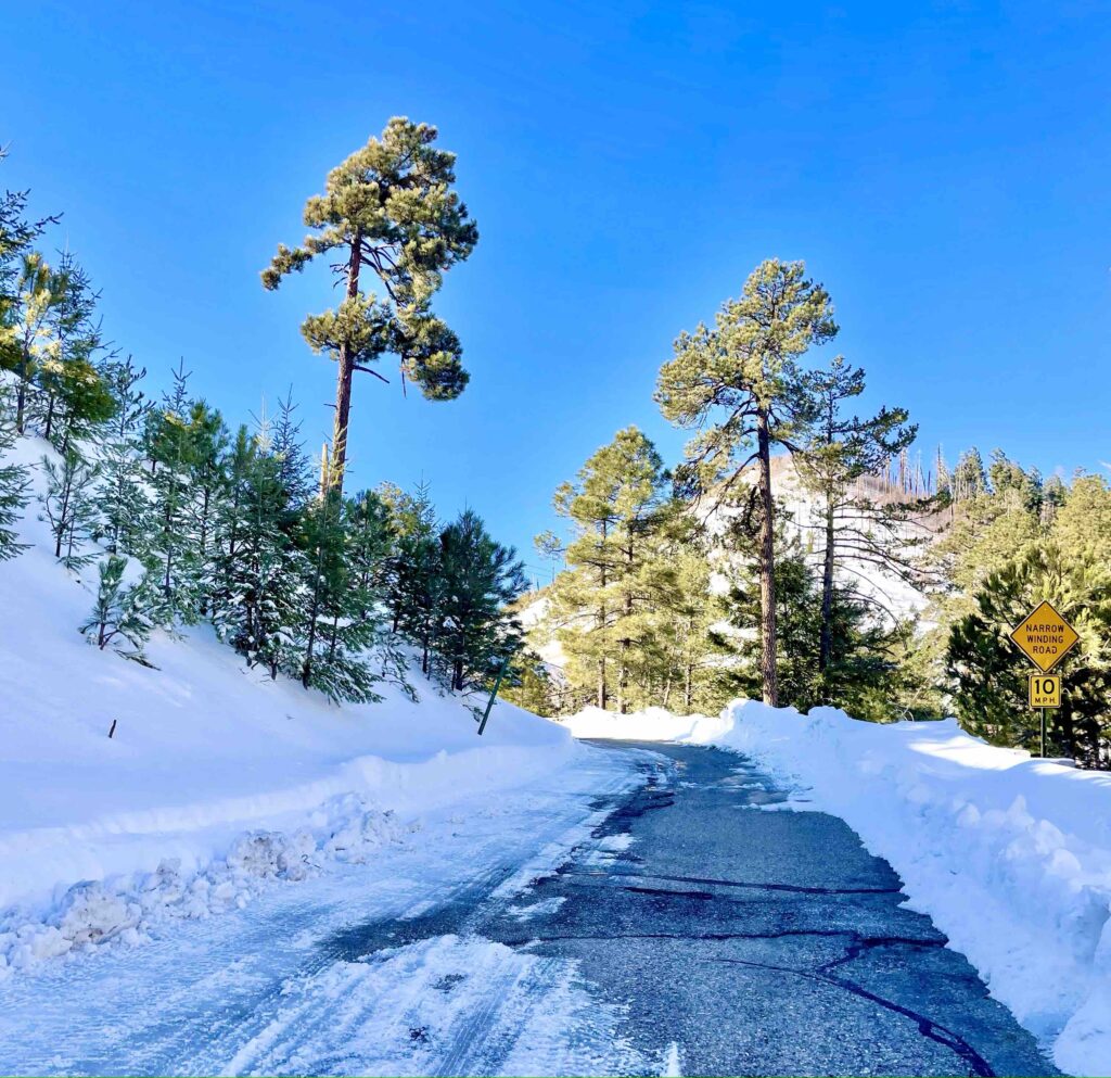 What's Best For Mount Lemmon Arizona Camping? Top Tips