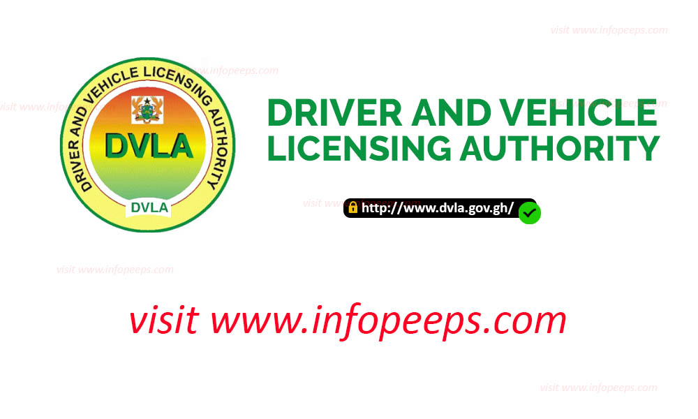 What's Required For Georgia Driver's Licence Renewal Online? Easy Steps